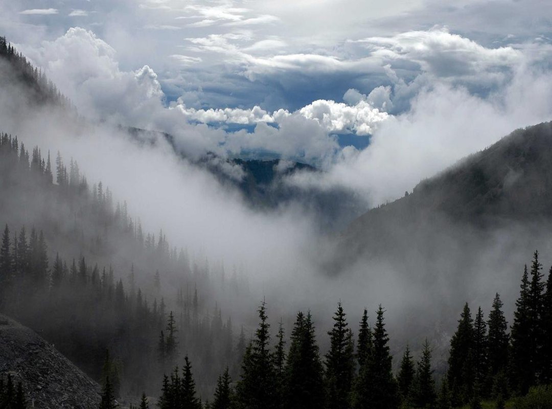 The Science Behind the Scare: Why You Can't Look Away