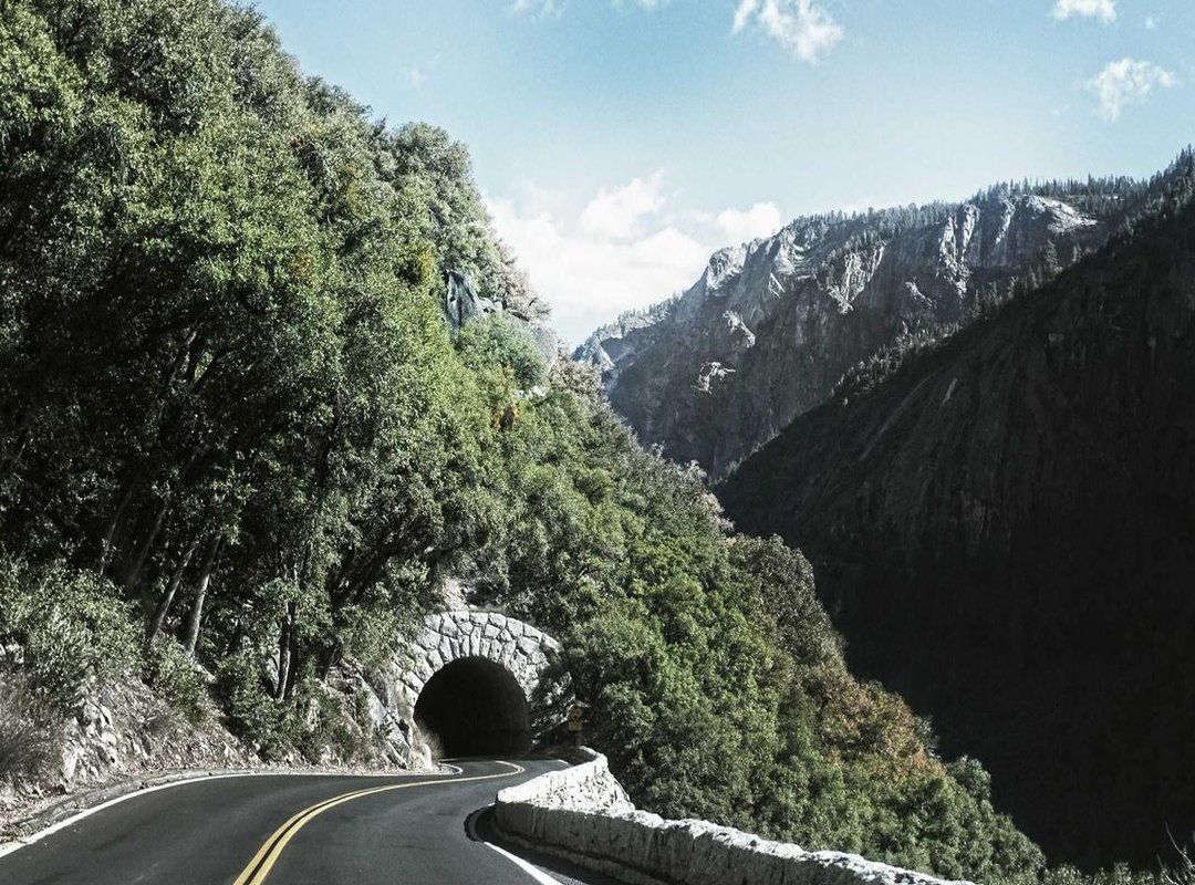 Real-World Cooking Performance: How It Grills, Sears, and Roasts