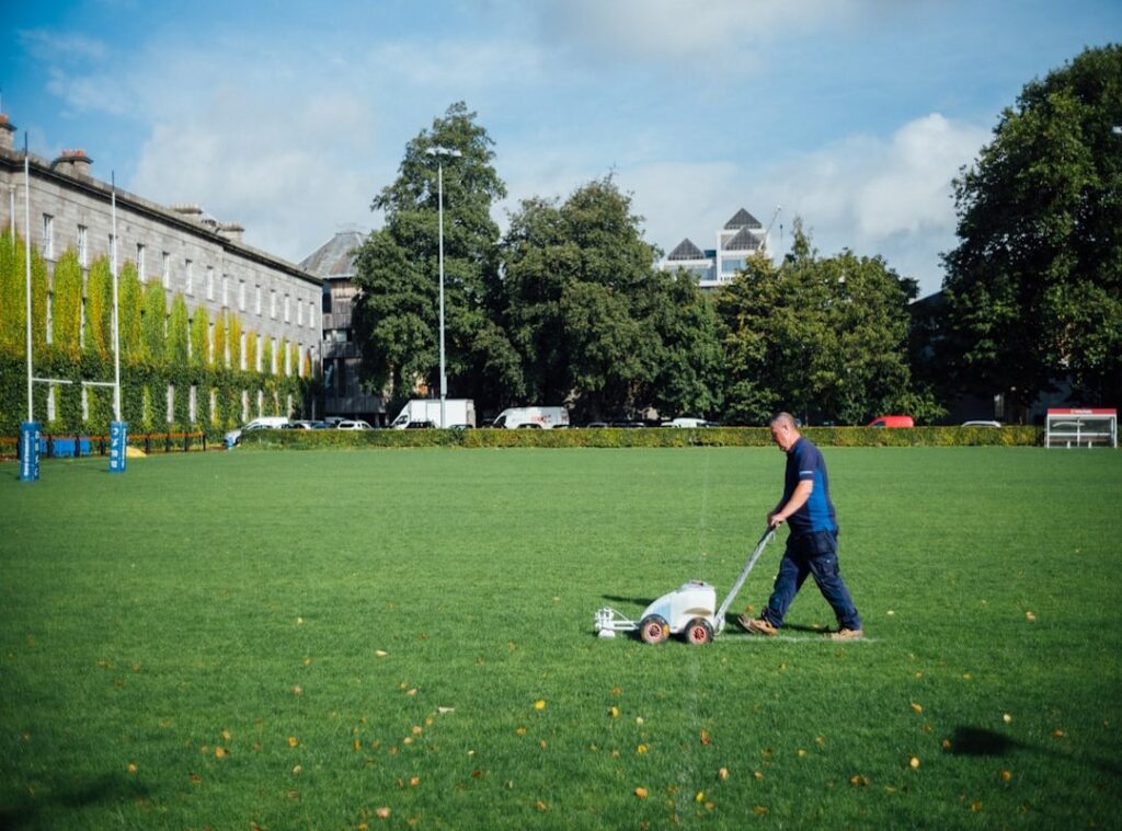 lawn care tips
