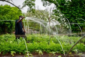 new gardening product xhasrloranit