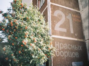 pencurimovie 21